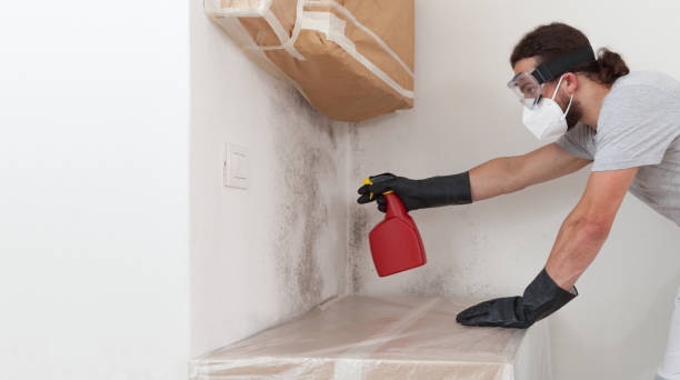 Professional Commercial Mold Remediation technician working in Hewlett, NY